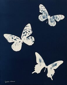 Butterfly Trio in Blue