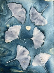 Alchemy of Leaves