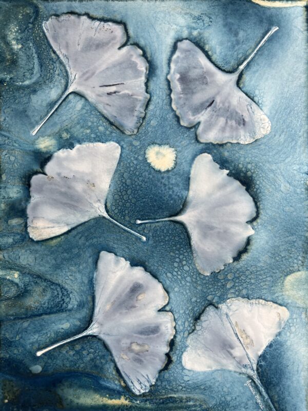 Alchemy of Leaves