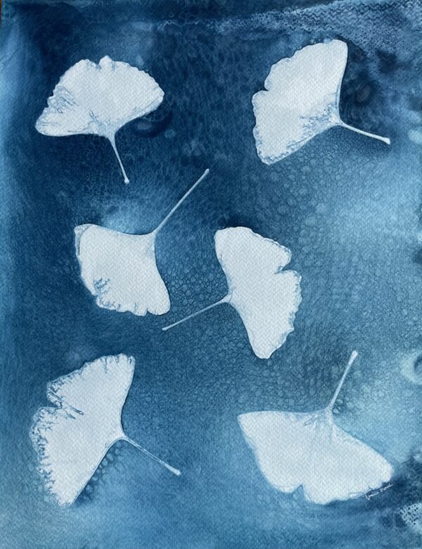 Ginkgo Etching