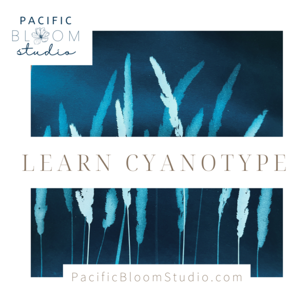 Fabric Cyanotype Workshop Jun 28 - Image 2