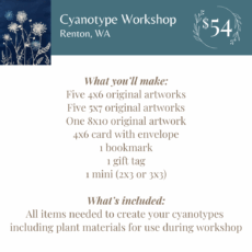 Cyanotype Workshop Jun 28