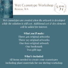 Wet Cyanotype Workshop Jun 29