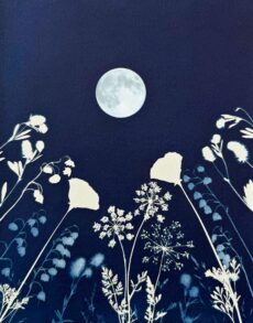 Lunar Botanica