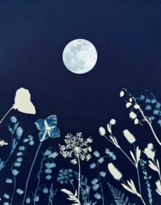 Lunar Light