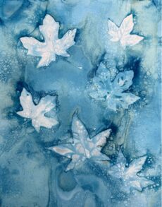 Blue Canopy