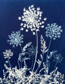 Threads of Summer