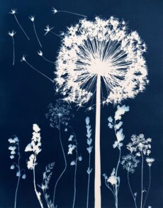 Blue Release