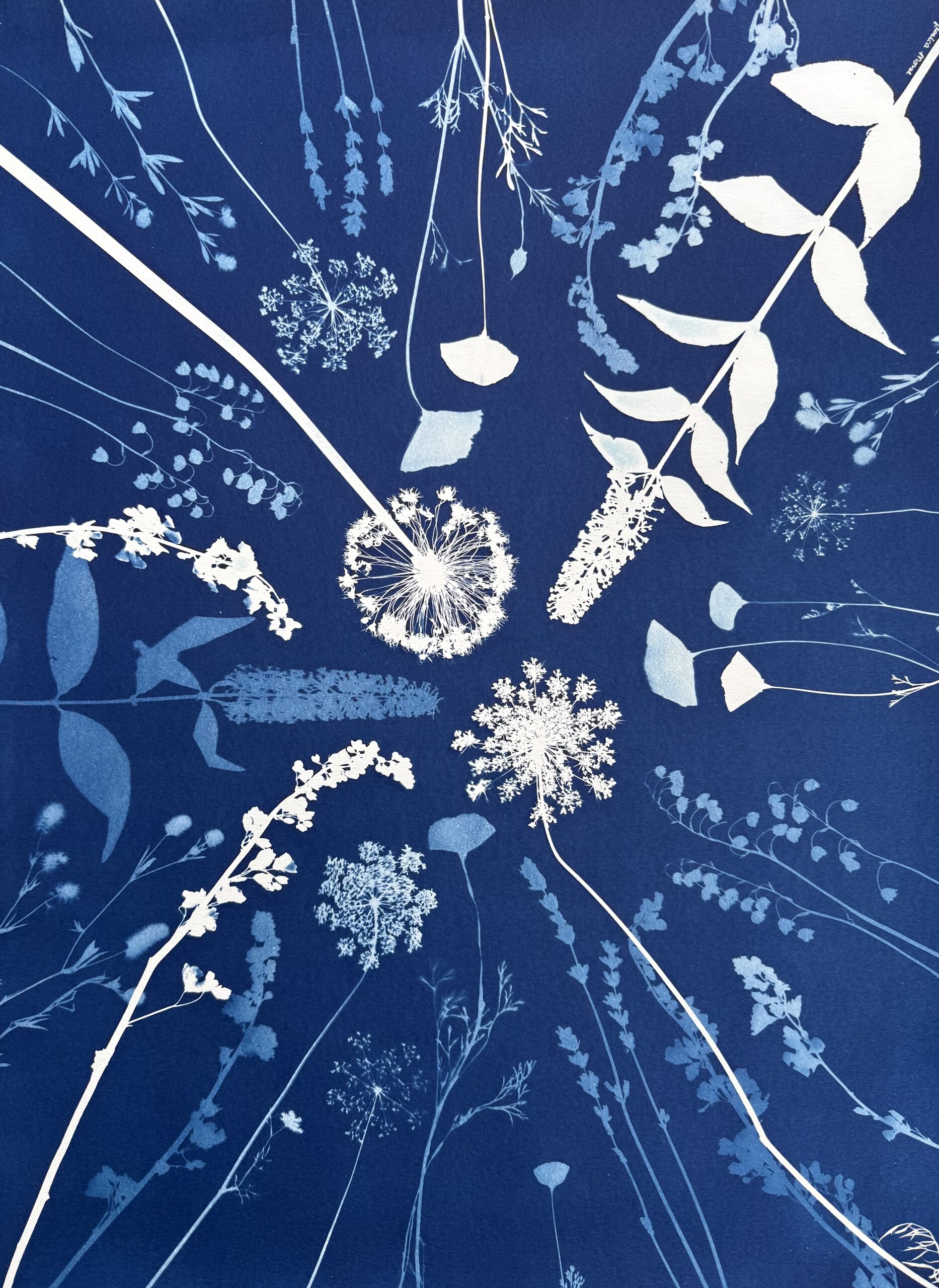 Sorticulture Reverie