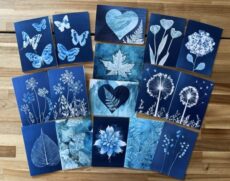 Greeting Cards
